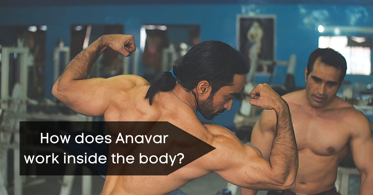 How does Anavar work inside the body?