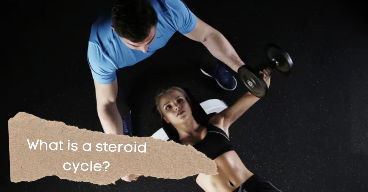 What is a steroid cycle 